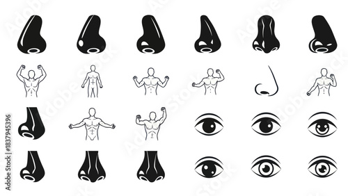 Anatomy icons set eyes nose and human body outlines in black and white