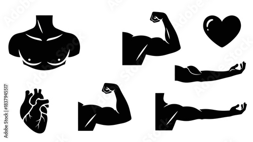 Black silhouette illustrations of human anatomy parts and heart shape