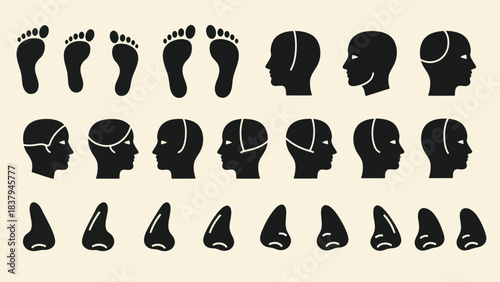 Black silhouette human anatomy elements feet profiles and noses on light background