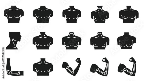 Black silhouette illustrations of human body parts and anatomical details