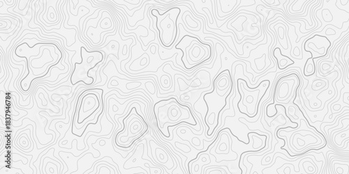 Futuristic topography contour wallpaper, smooth organic elevation curves, thin black lines on white, ultra clean modern design