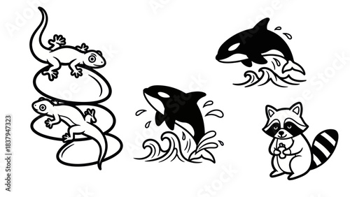 Black and white animal illustrations orca lizard raccoon vector graphics