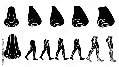 Black and white vector illustrations of human nose and legs in motion