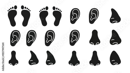 Black and white vector illustration of body parts feet ears and noses