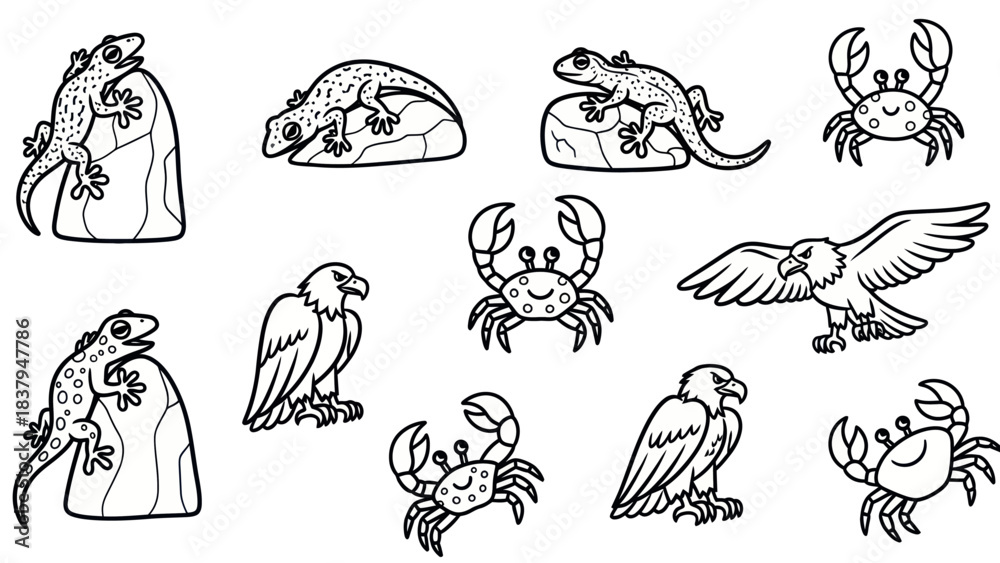 Fototapeta premium Black and white illustrations of animals reptiles and sea creatures