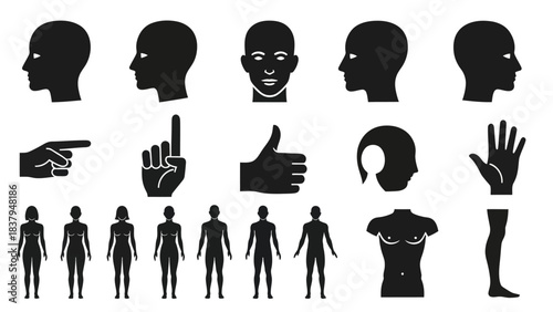 Black silhouette human body parts and figures vector set