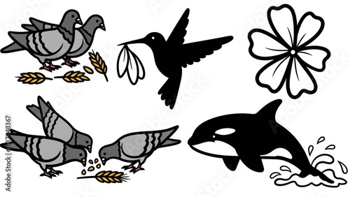 Black and white illustrations of birds flower and marine mammal icons