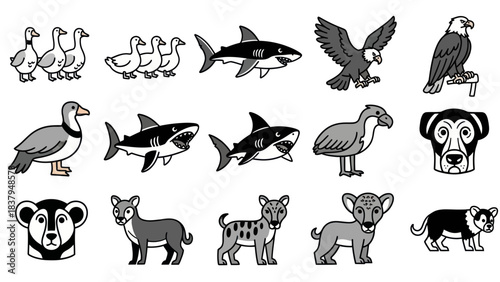 Cartoon animal collection ducks sharks eagles lions dogs and others