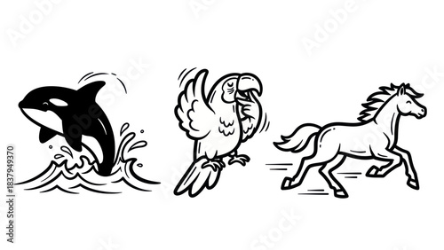 Black and white illustrations of orca dolphin parrot and horse animals