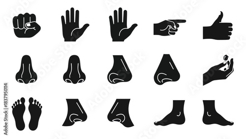 Black and white vector illustration of human body parts and hand gestures