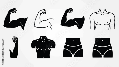 Body parts illustrations set for health and fitness themes on white