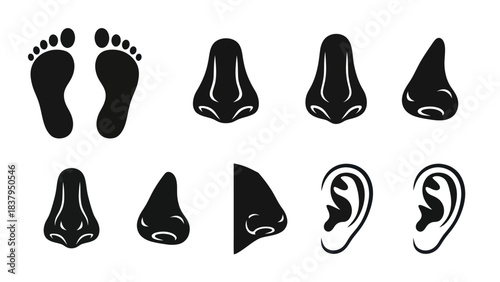 Black and white vector illustration of human body parts isolated