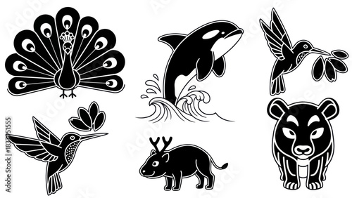 Black and white animal illustrations peacock orca hummingbird bear and deer