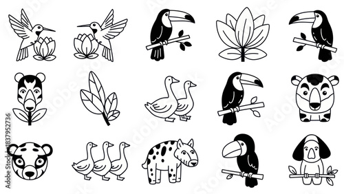Black and white line art collection of birds animals flowers and leaves