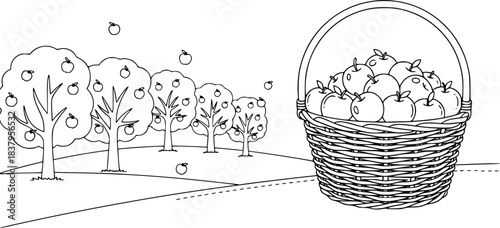 Fruit orchard scene with basket of apples in outline style