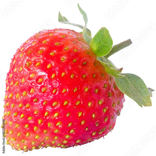 Photos Macro Close-up of Strawberry Showing Texture and Achenes Isolated in Transparent