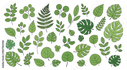 Grid of illustrated green leaves in various shapes and vein patterns, representing botanical diversity and plant morphology for educational, scientific, or decorative use on a clean white background