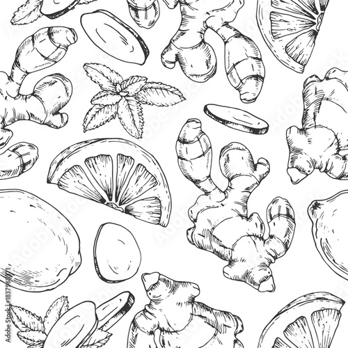 Ginger, mint and lemon vector seamless pattern. Hand-drawn ink background. Design elements for drink labels, menus, and recipes.