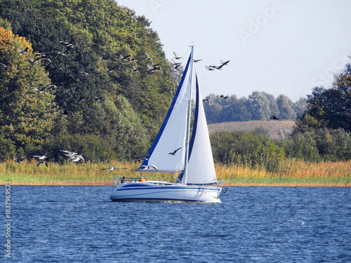 sailing on the lake with lots of birds around the boat