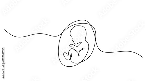 Continuous Line Drawing of an Embryo Developing in the Womb