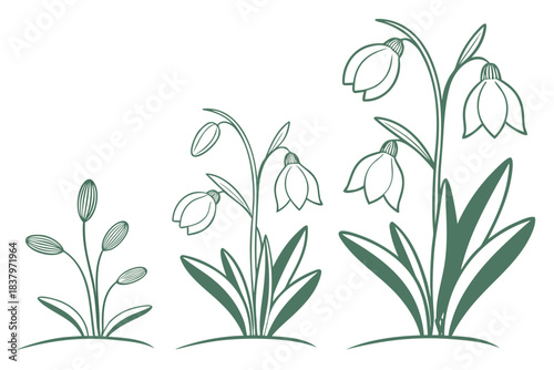 Clean Minimal Spring Plant Growth Icon Set  White Vector Icon Set