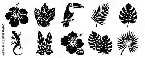 Tropical Flora and Fauna Icons Solid filled icon set of tropical flora and fauna toucan hibiscus flower