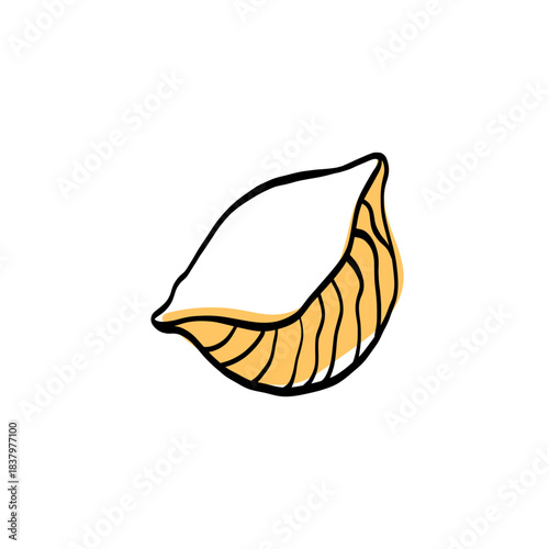 Italian pasta doodle classic shapes conchiglie. Ideal for menus, packaging, branding and recipe illustrations