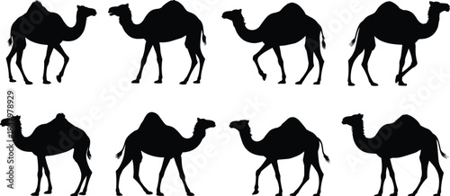 Stack of Colorful Books on Wooden Shelf, Illustrating Knowledge, Literacy, Education, Learning, and Academic Research Material.