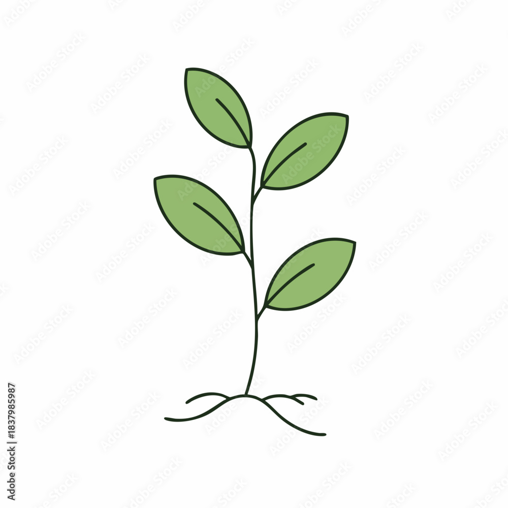 Obraz premium Stylized seedling illustration with four green leaves and simple root system