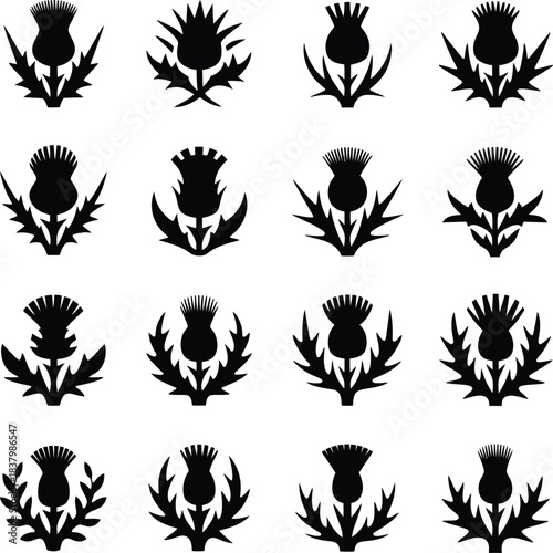 Thistle Flower Silhouette Icon Set Vector Collection