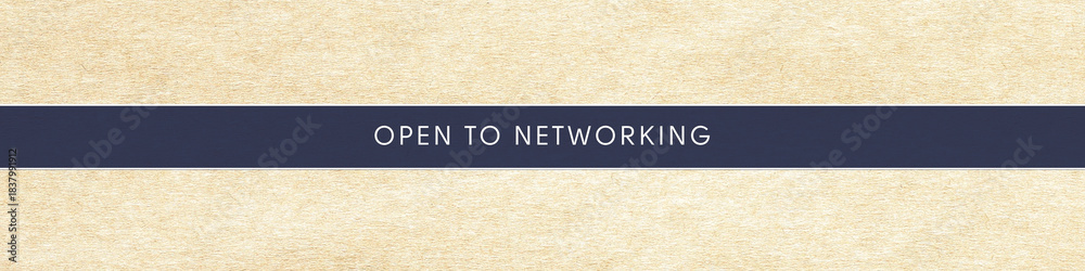 Obraz premium LinkedIn Banner for Professional Profiles.