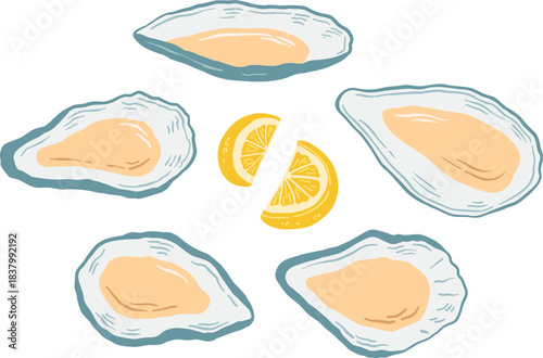 Hand drawn oysters with lemon on white background. Seafood vector illustration