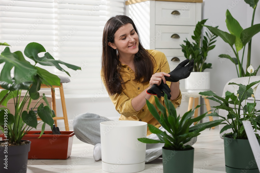 Fototapeta premium Transplanting. Woman with different potted houseplants on floor at home