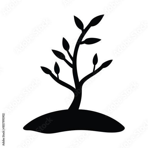 A silhouette of a young plant growing from the soil with a white background.