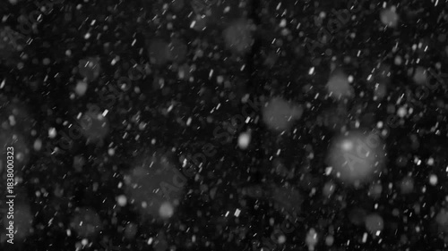 White snow isolated on black background, natural and real, winter nature, using for overlay effect