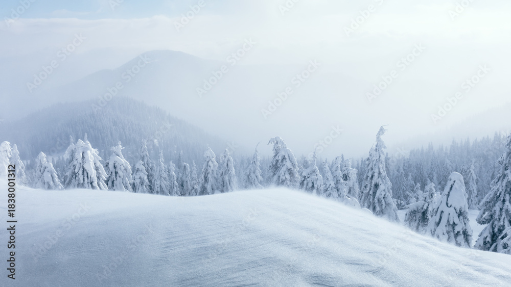 Fototapeta premium Winter mountains in soft blue light covered by fresh snow. Calm snowy landscape with fog and atmospheric frozen nature