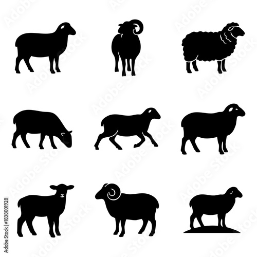 Sheep Silhouette, Livestock, Farm Animals