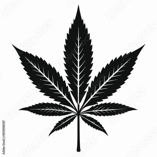 cannabis leaf black and white silhouette on white background