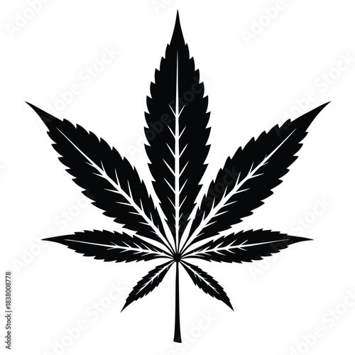 cannabis leaf black and white silhouette on white background
