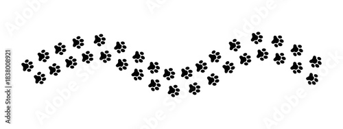 Wavy track of wet or mud pawprints of dog, cat, bear or raccoon. Paw silhouettes trail. Steps of running or walking animal isolated on white background. Vector graphic illustration.