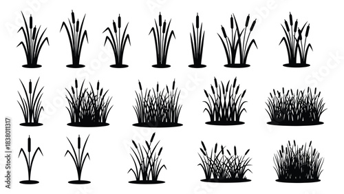 Vector silhouette cattails reeds bulrushes marsh plants collection