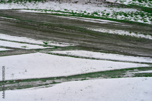 Wallpaper Mural Grass emerging through snow and tracks Torontodigital.ca