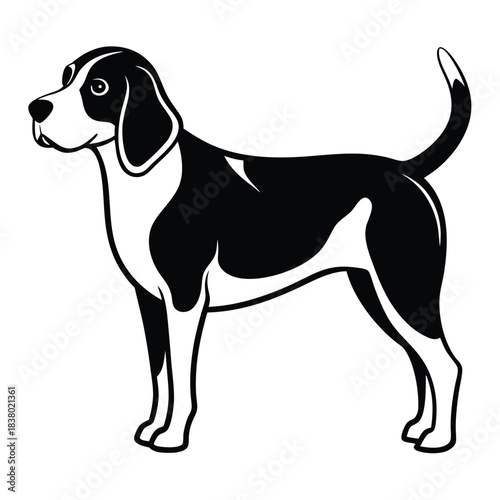 beagle black and white silhouette on white background