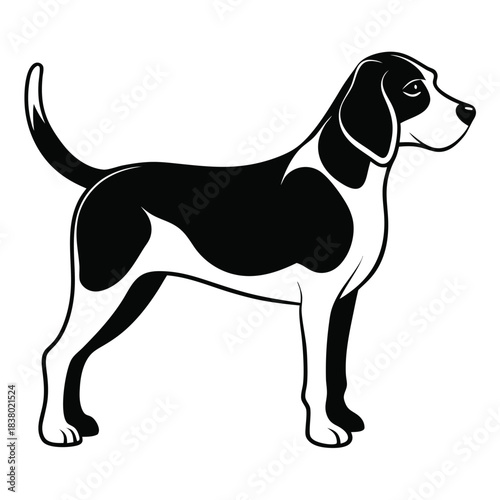 beagle black and white silhouette on white background
