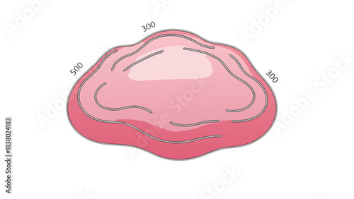 Close Up Illustration Of A Pink Scallop Shell With Detailed Ridges And Lines On Black Background Minimalist Simple Vector Art