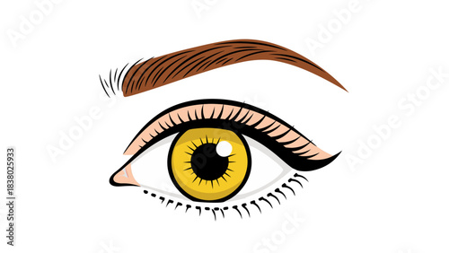 Close Up of a Human Eye with Golden Iris and Brown Eyebrow Against a Black Background Detailed Vector Illustration