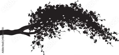 Silhouette of a flowering tree branch with blossoms Keywords: tree, branch, flower, blossom