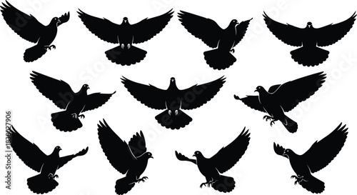 Flying pigeon silhouettes vector collection, dove bird black artwork, peaceful wildlife illustration, freedom and nature concept, animal design, sky symbol