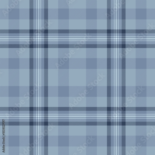 Subtle blue plaid pattern. Classic  timeless fabric. Perfect for backgrounds, design elements, apparel, or digital projects with a traditional feel.