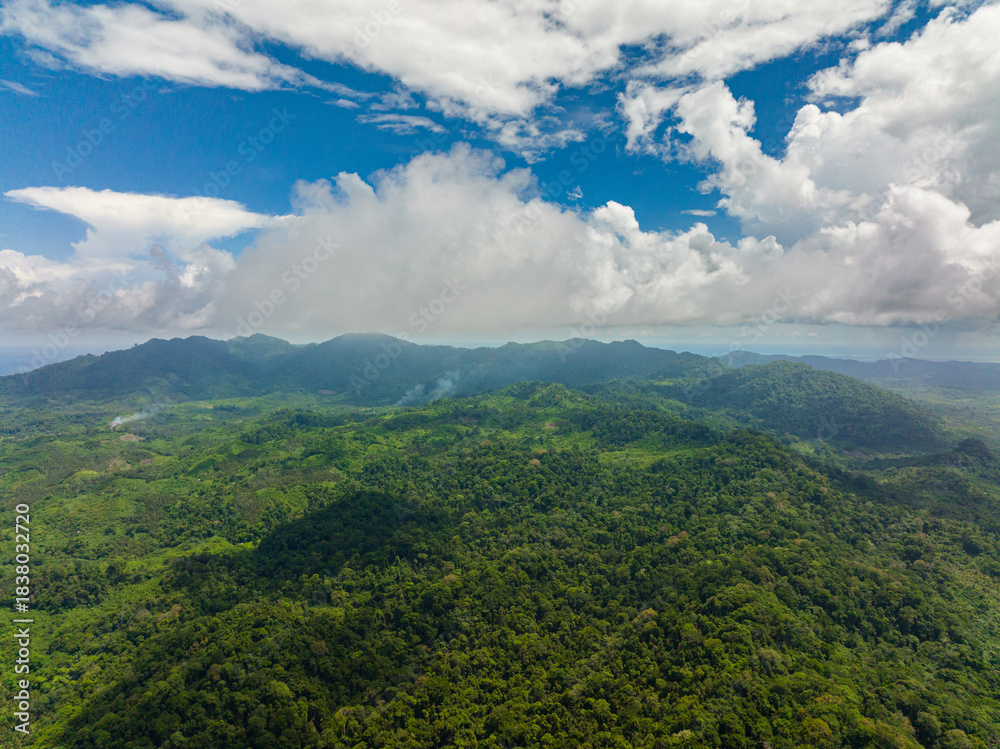 Obraz premium Mountain slopes with rainforest. Balabac, Palawan. Philippines.